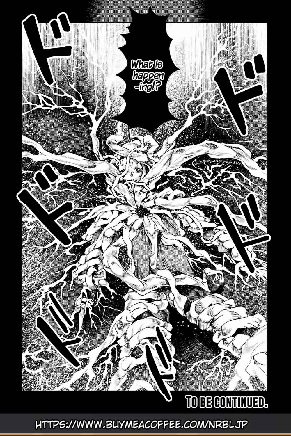 Nozomanu Fushi no Boukensha Chapter 29 - Page 25