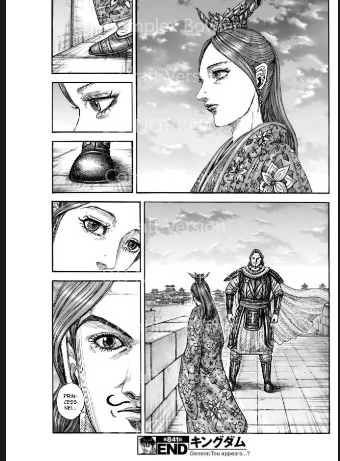 Kingdom Chapter 841 - Page 19