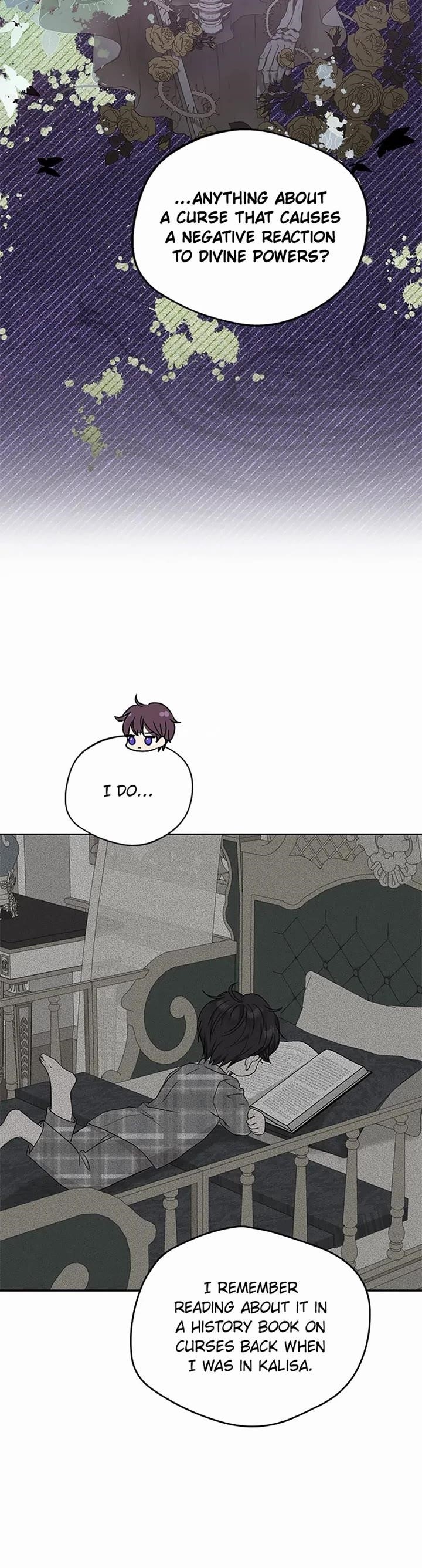 Surviving as an Illegitimate Princess Chapter 82 - Page 25