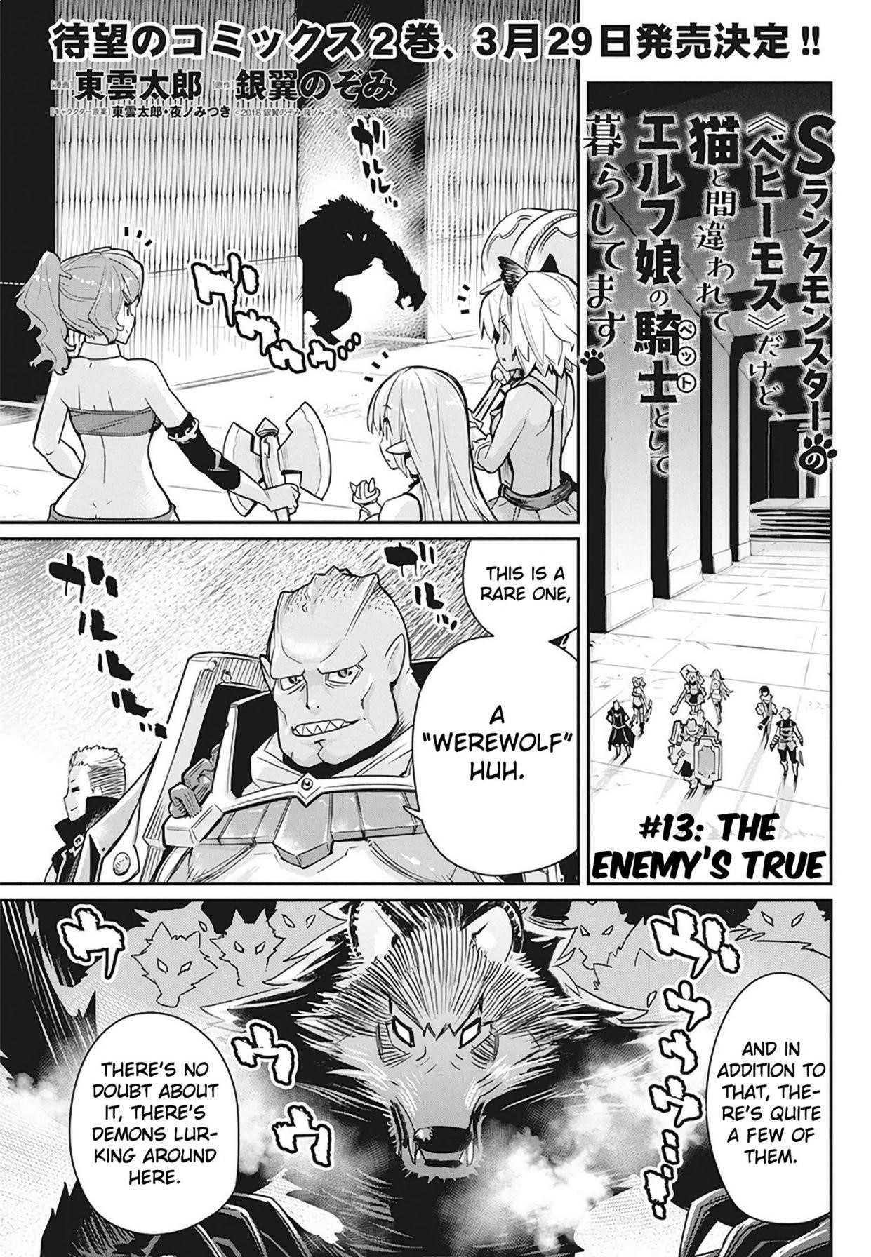 I Am Behemoth Of The S Rank Monster But I Am Mistaken As A Cat And I Live As A Pet Of Elf Girl Chapter 13 - Page 2