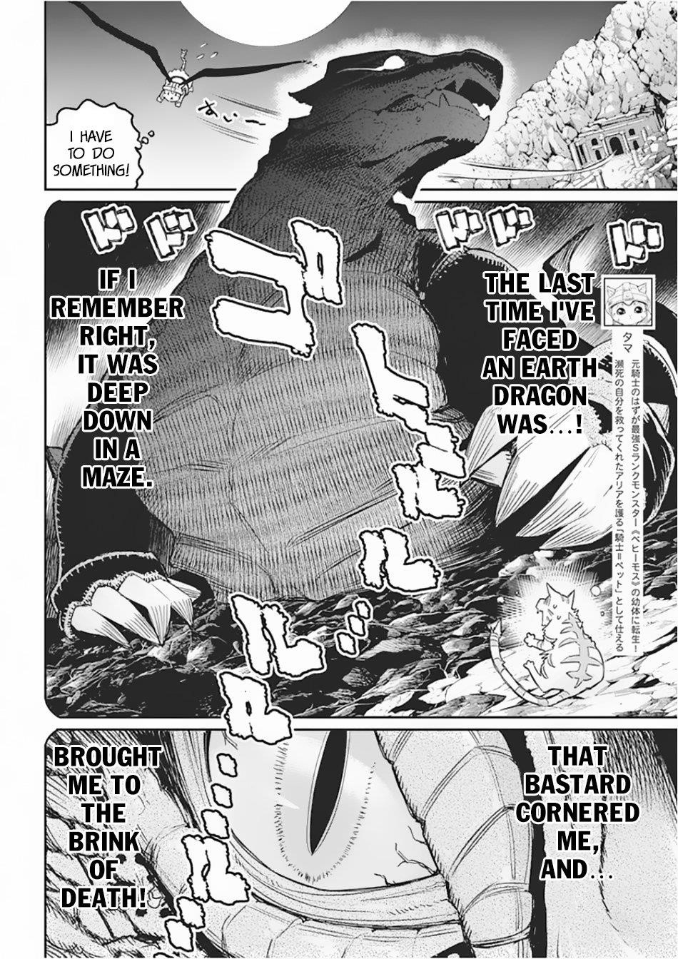 I Am Behemoth Of The S Rank Monster But I Am Mistaken As A Cat And I Live As A Pet Of Elf Girl Chapter 15 - Page 2