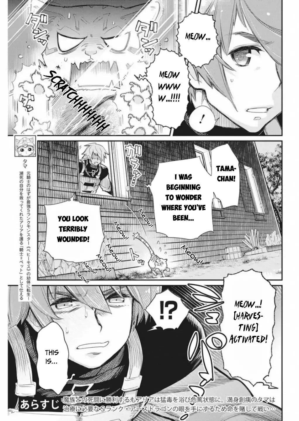I Am Behemoth Of The S Rank Monster But I Am Mistaken As A Cat And I Live As A Pet Of Elf Girl Chapter 16 - Page 3