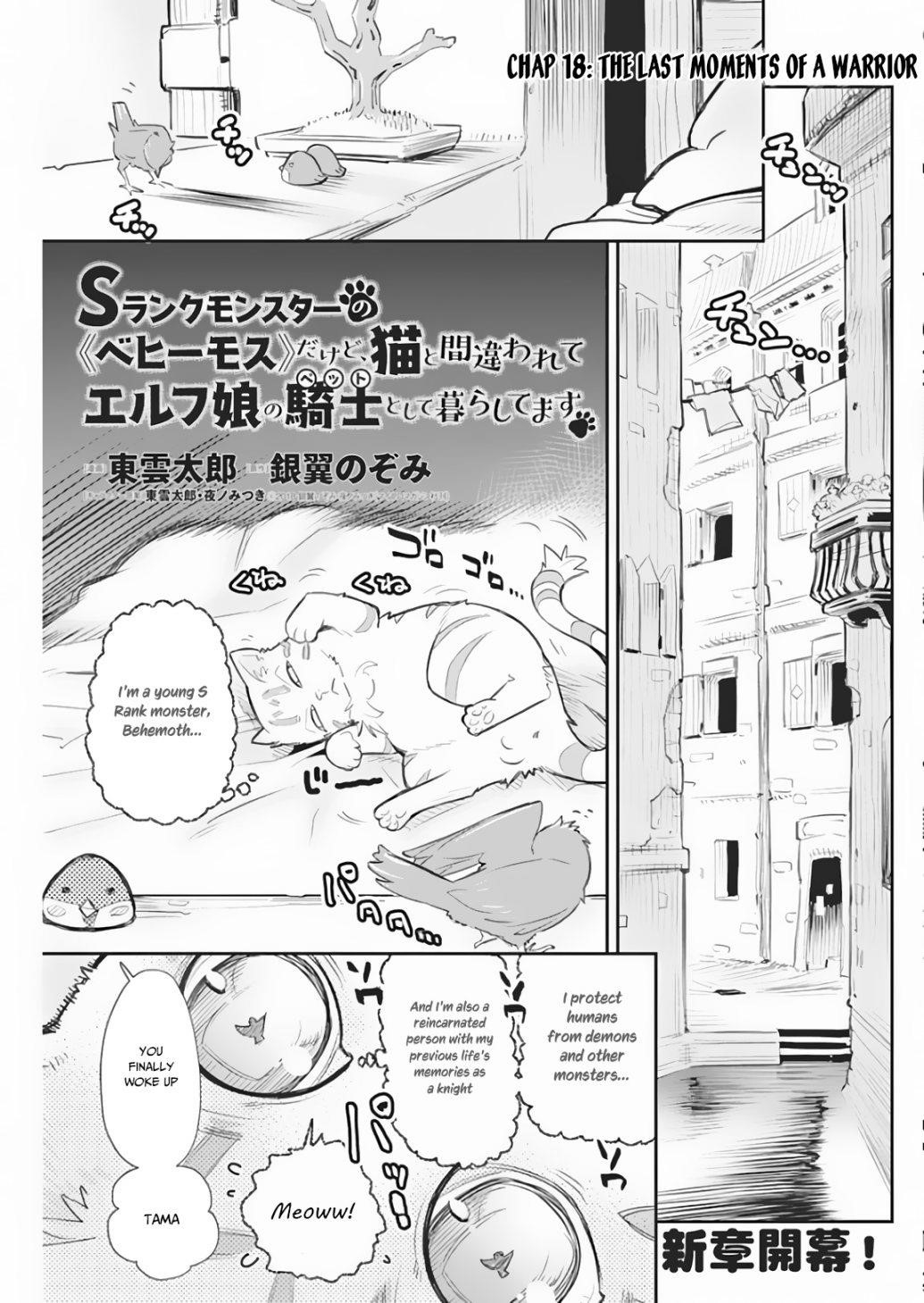 I Am Behemoth Of The S Rank Monster But I Am Mistaken As A Cat And I Live As A Pet Of Elf Girl Chapter 18 - Page 1