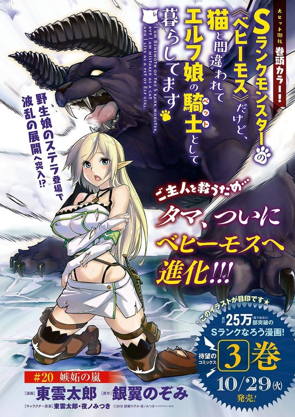 I Am Behemoth Of The S Rank Monster But I Am Mistaken As A Cat And I Live As A Pet Of Elf Girl Chapter 20 - Page 1