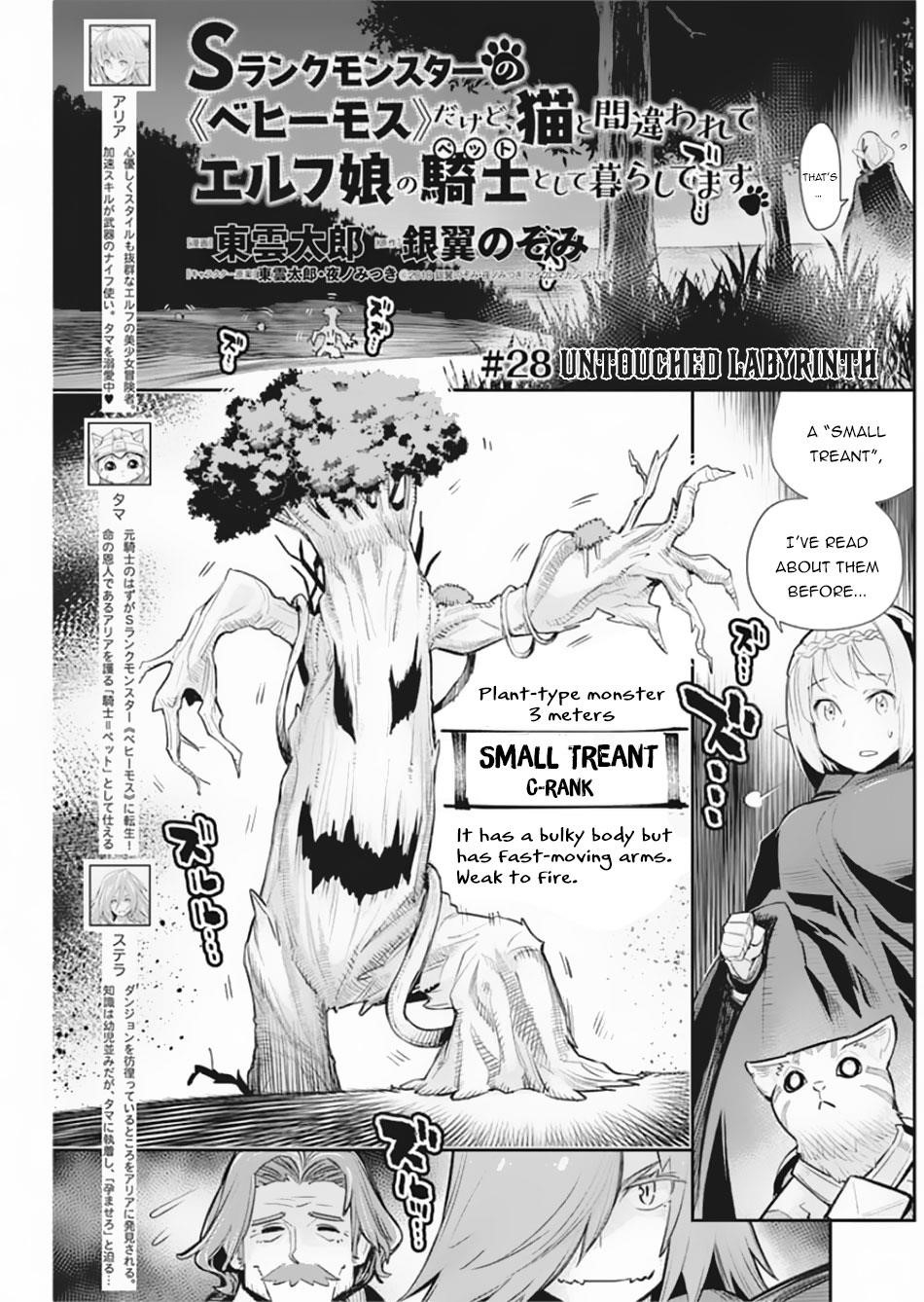 I Am Behemoth Of The S Rank Monster But I Am Mistaken As A Cat And I Live As A Pet Of Elf Girl Chapter 28 - Page 1