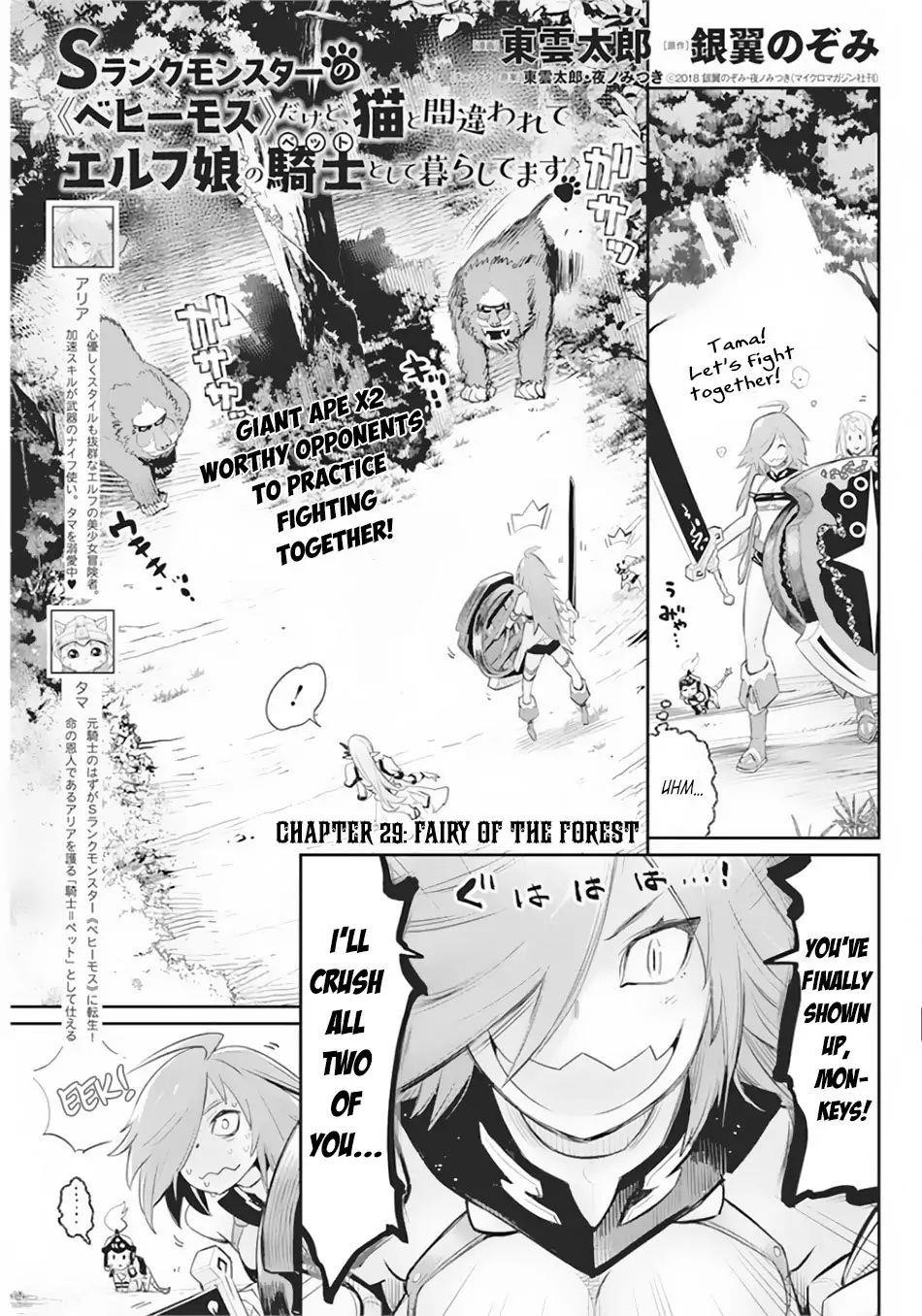 I Am Behemoth Of The S Rank Monster But I Am Mistaken As A Cat And I Live As A Pet Of Elf Girl Chapter 29 - Page 1