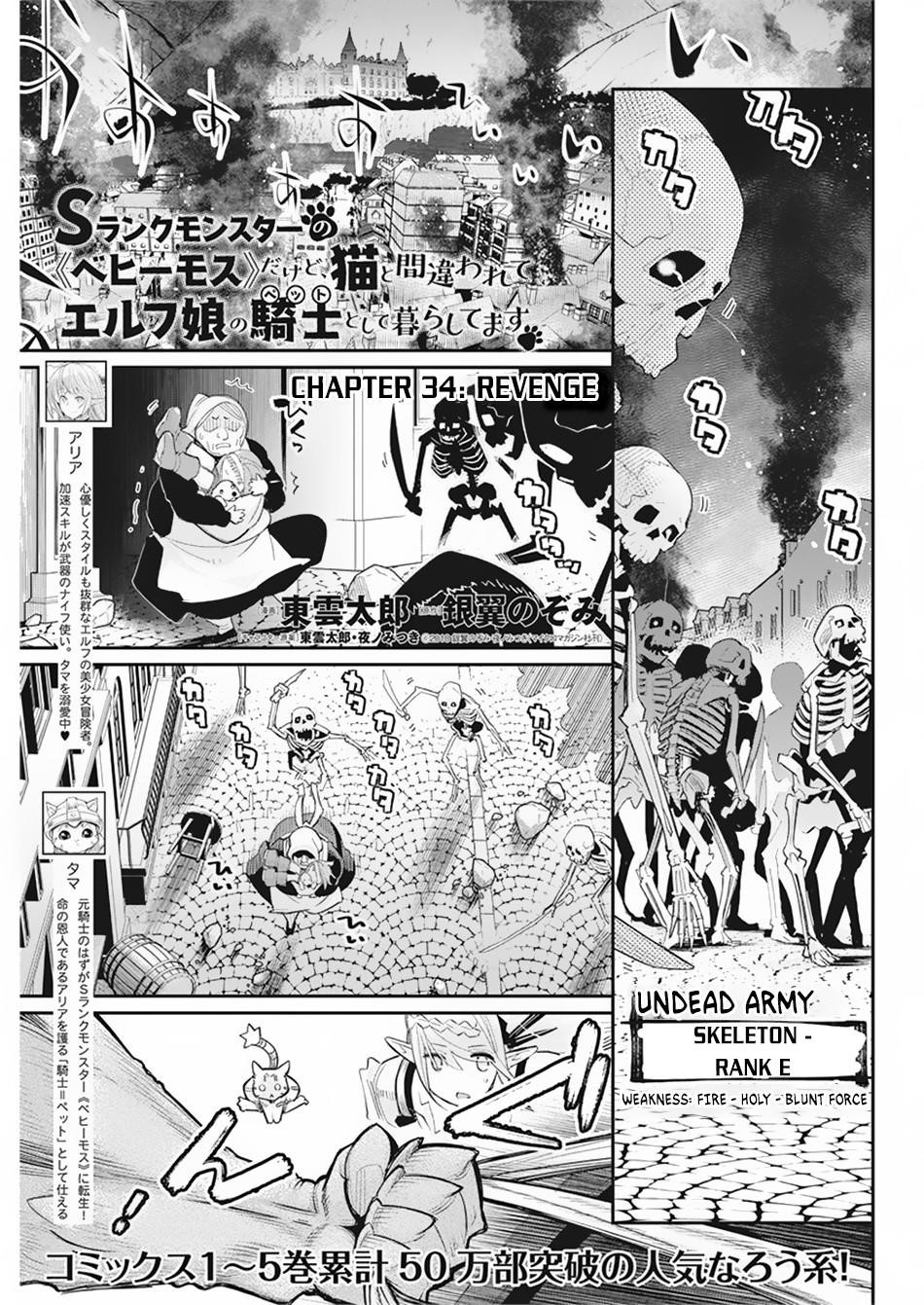 I Am Behemoth Of The S Rank Monster But I Am Mistaken As A Cat And I Live As A Pet Of Elf Girl Chapter 34 - Page 1