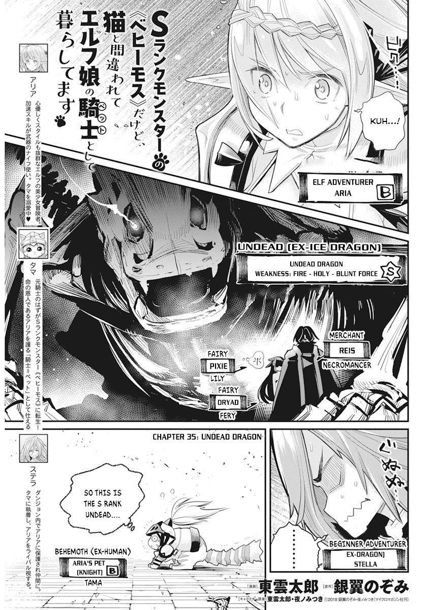I Am Behemoth Of The S Rank Monster But I Am Mistaken As A Cat And I Live As A Pet Of Elf Girl Chapter 35 - Page 1