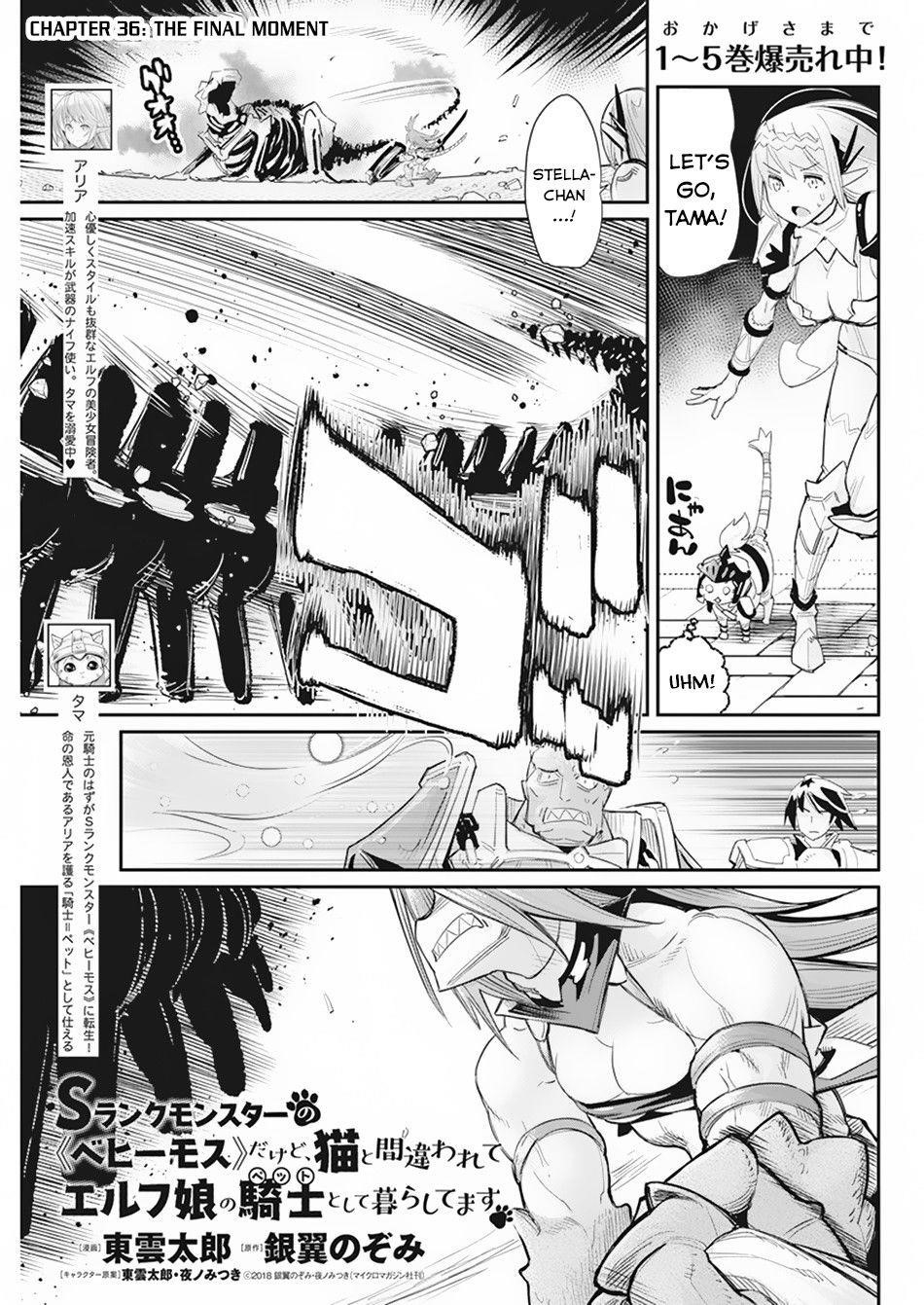 I Am Behemoth Of The S Rank Monster But I Am Mistaken As A Cat And I Live As A Pet Of Elf Girl Chapter 36 - Page 1