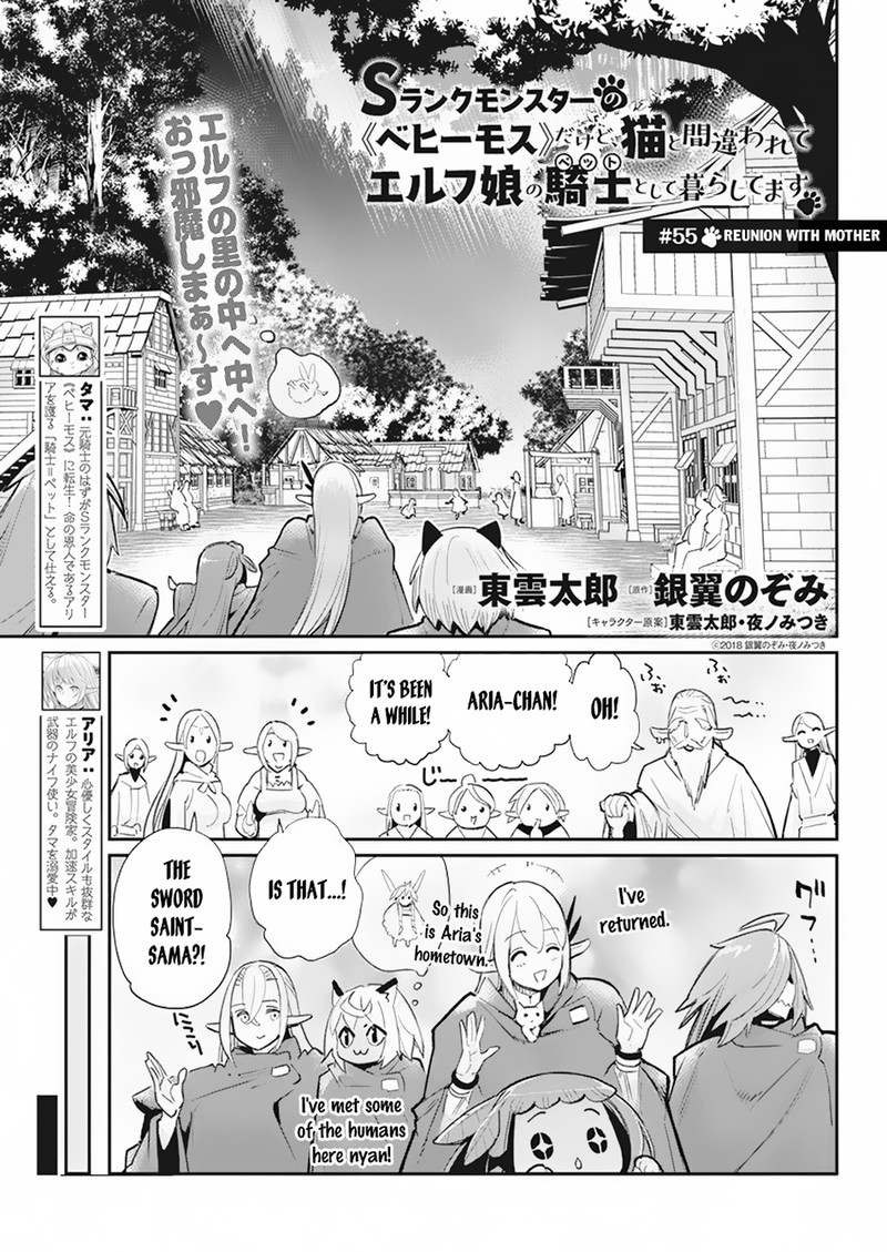 I Am Behemoth Of The S Rank Monster But I Am Mistaken As A Cat And I Live As A Pet Of Elf Girl Chapter 55 - Page 1