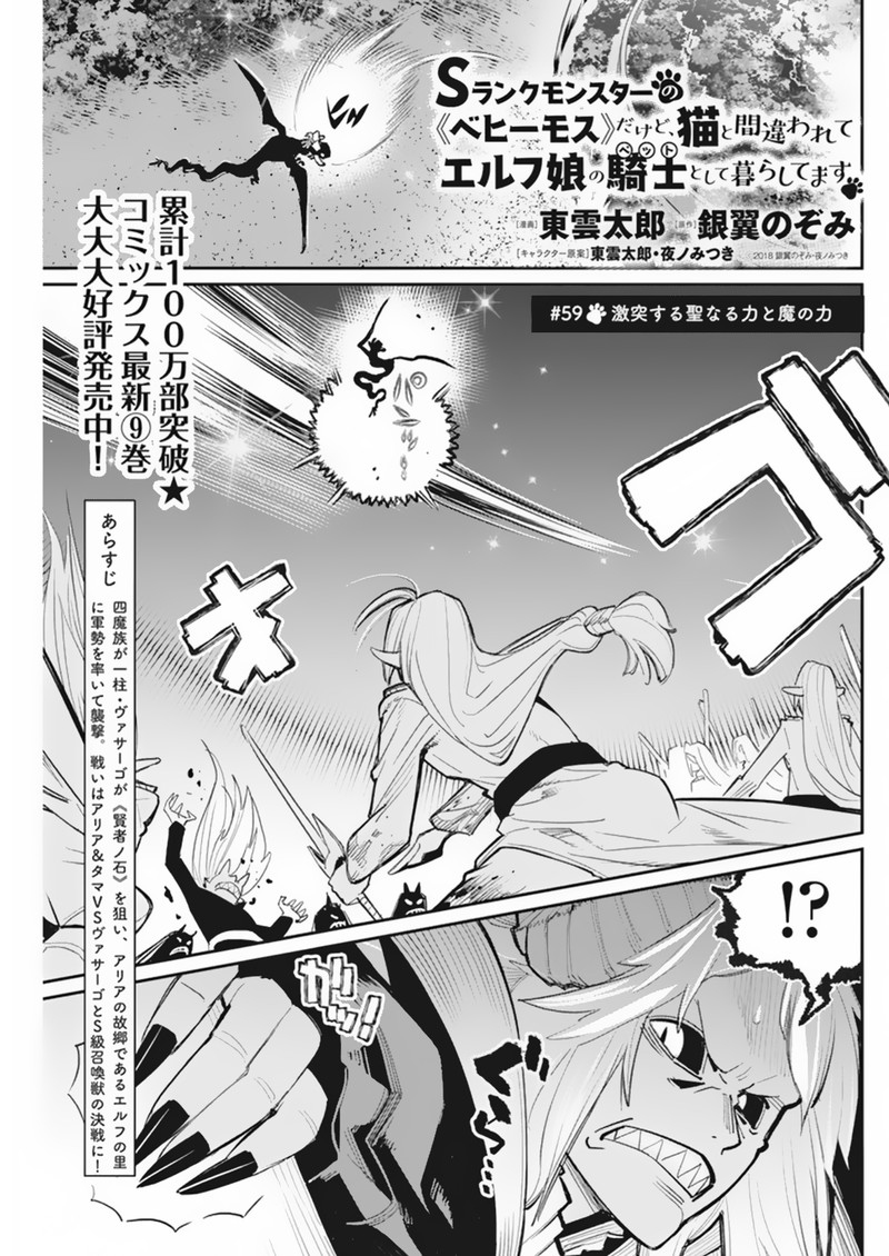 I Am Behemoth Of The S Rank Monster But I Am Mistaken As A Cat And I Live As A Pet Of Elf Girl Chapter 59 - Page 1