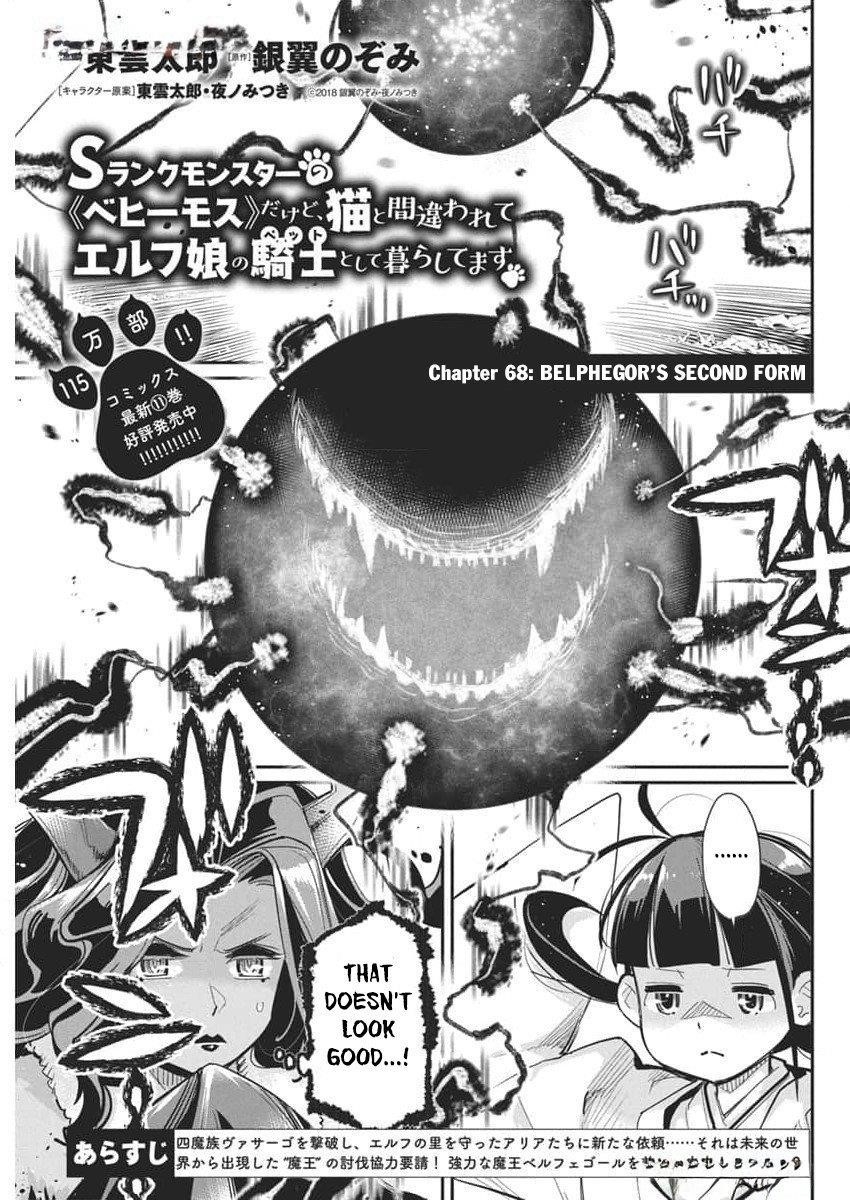I Am Behemoth Of The S Rank Monster But I Am Mistaken As A Cat And I Live As A Pet Of Elf Girl Chapter 68 - Page 2