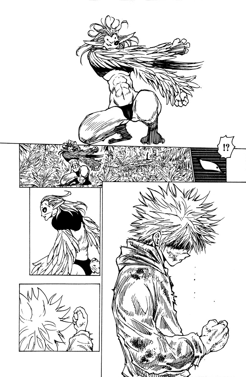 Hunter x Hunter Chapter 219 - Page 10